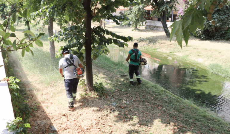DERE ÇEVRELERİNDE YABANİ OT TEMİZLİĞİ DEVAM EDİYOR