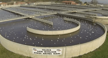 HALKIN SAĞLIĞI HİÇE SAYILIYOR!