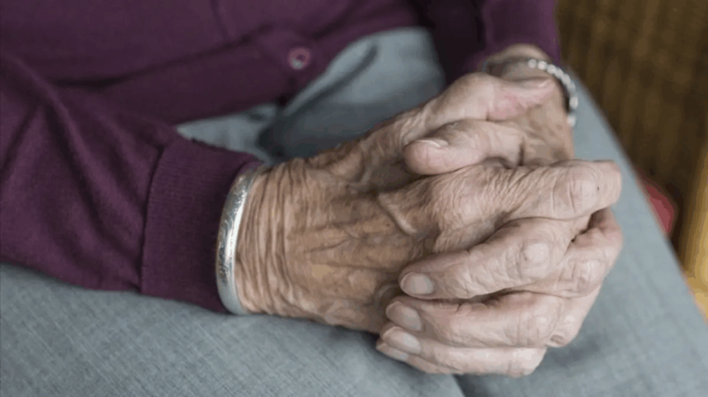 81 İLDE 'İL YAŞLILIK ÇALIŞTAYLARI' DÜZENLENECEK