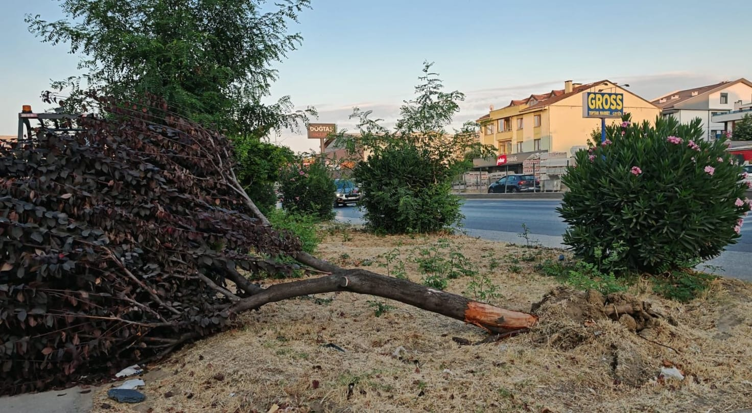VANDALLAR ÇİFTLİKKÖY'DEKİ PARKLARA ZARAR VERDİ