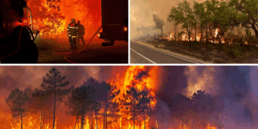 YALOVA’DA EŞ ZAMANLI ÇIKAN YANGINLAR KONTROL ALTINA ALINDI