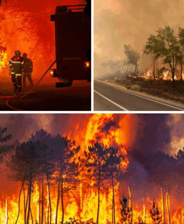YALOVA’DA EŞ ZAMANLI ÇIKAN YANGINLAR KONTROL ALTINA ALINDI