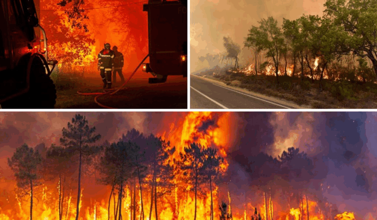 YALOVA’DA EŞ ZAMANLI ÇIKAN YANGINLAR KONTROL ALTINA ALINDI
