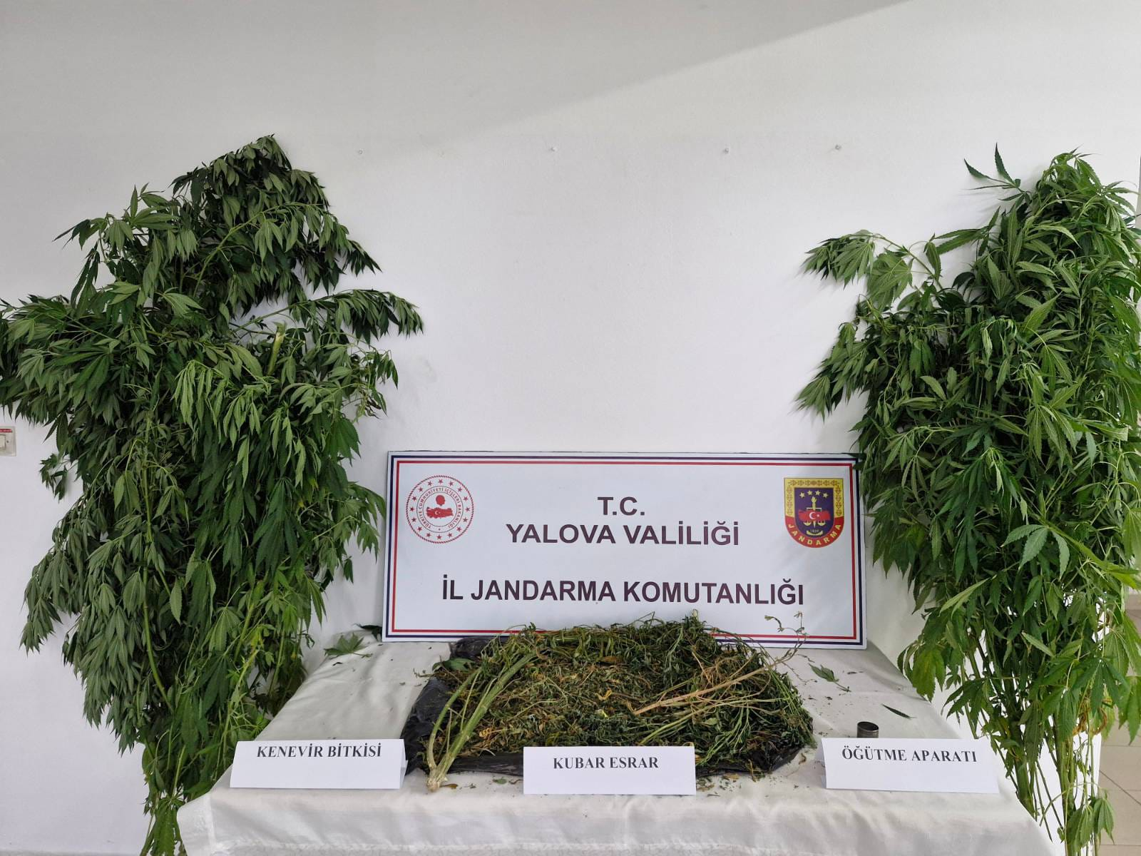 Yalova’da Jandarmadan Uyuşturucu Operasyonu: 2 Tutuklama