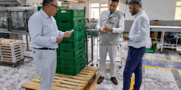 Türkiye’de İlk Gıda Karekodu Yalova’da Ürün Etiketine Basıldı