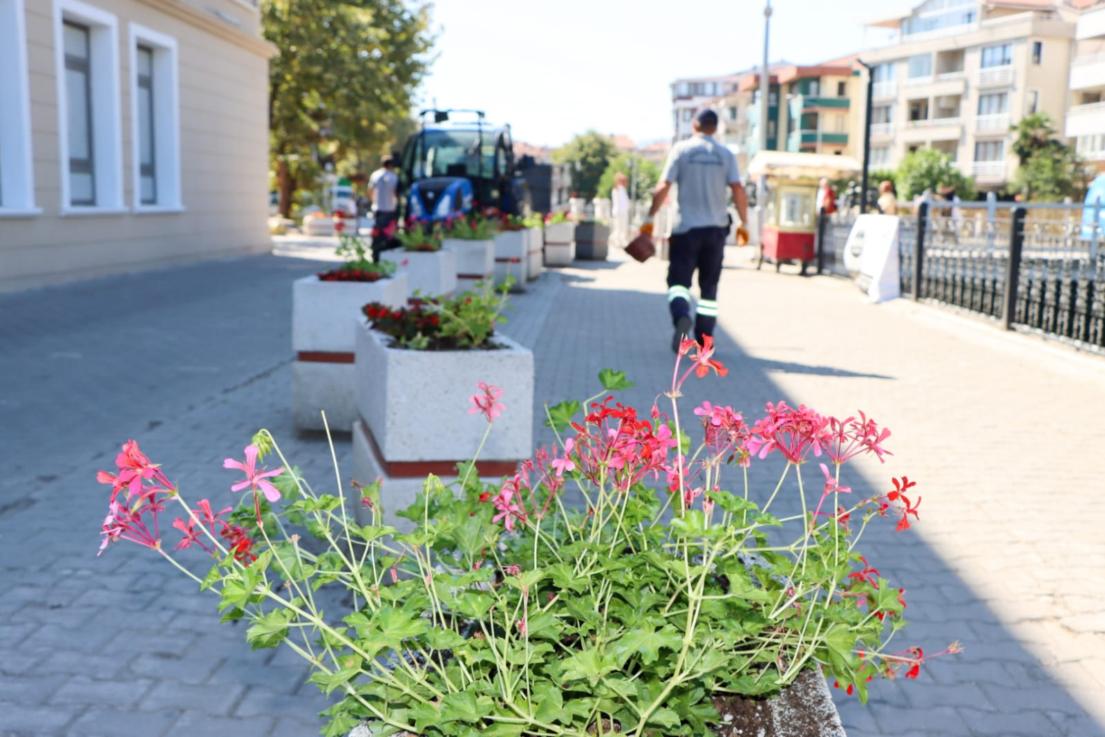 YALOVA BELEDİYESİ’NDEN ŞEHRİ GÜZELLEŞTİREN DOKUNUŞ