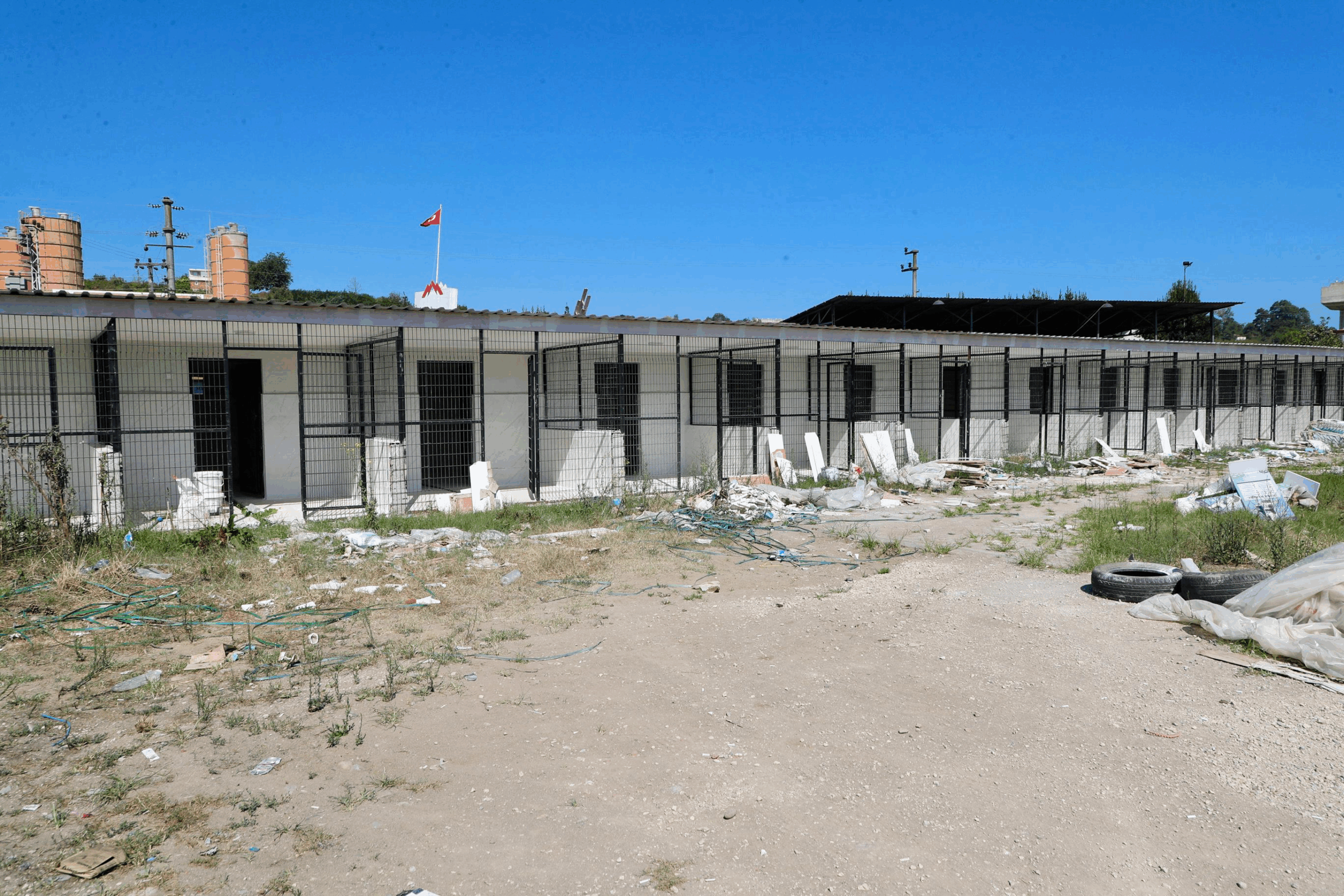 Ordu’da Sahipsiz Sokak Hayvanları İçin Barınak ve Doğal Yaşam Alanı Sayısı Artıyor