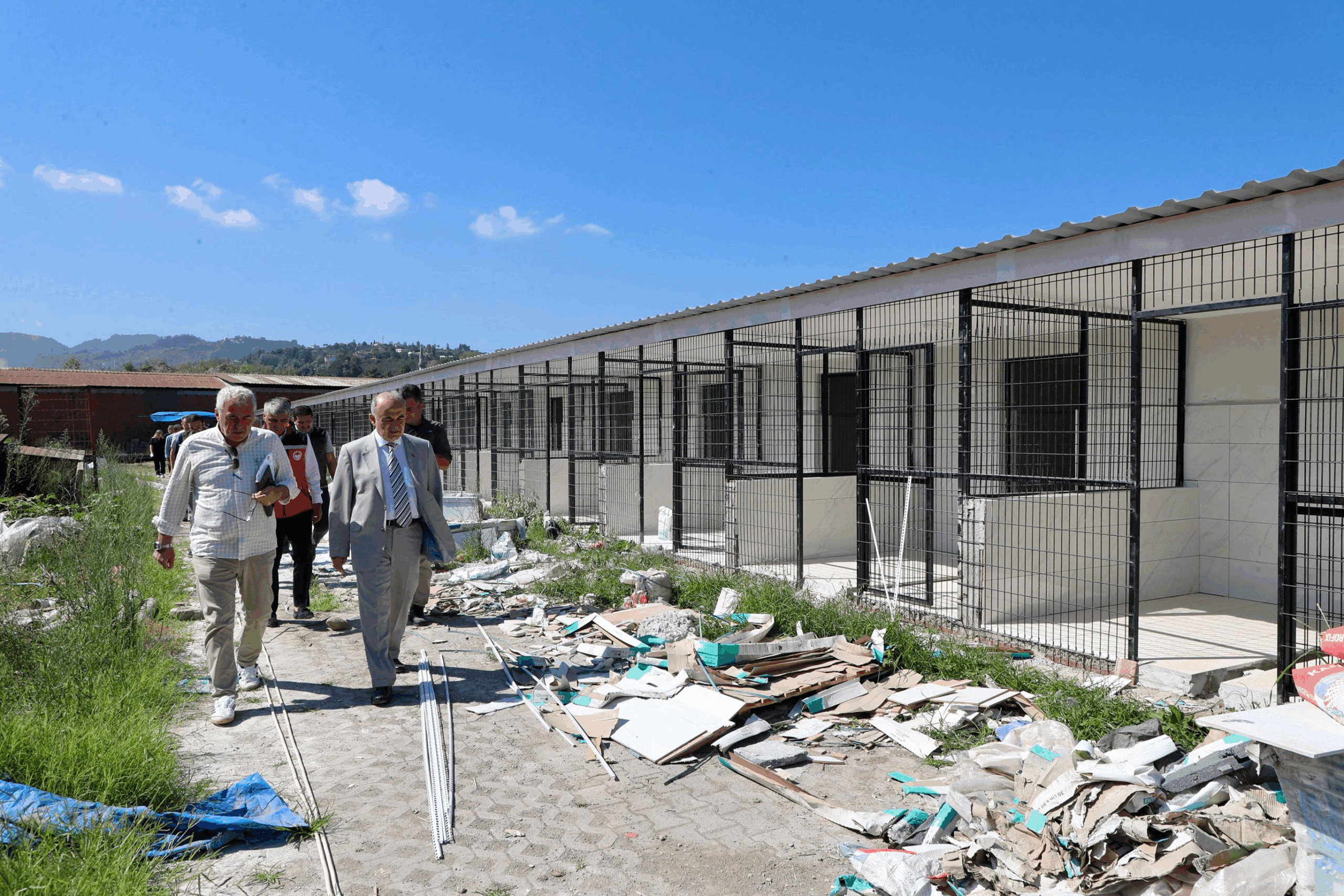 Ordu’da Sahipsiz Sokak Hayvanları İçin Barınak ve Doğal Yaşam Alanı Sayısı Artıyor