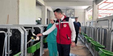 Yalova’da İl Müdürü İlmeç’ten Kırsal Kalkınma Yatırımları İncelemesi