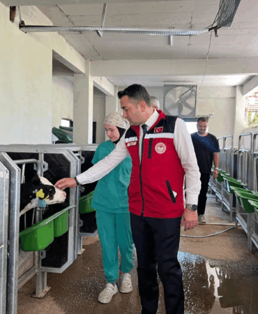 Yalova’da İl Müdürü İlmeç’ten Kırsal Kalkınma Yatırımları İncelemesi