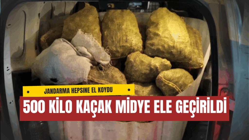 Yalova Armutlu’da 500 Kilo Kaçak Midye Ele Geçirildi