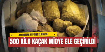 Yalova Armutlu’da 500 Kilo Kaçak Midye Ele Geçirildi