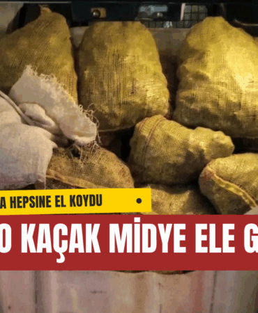 Yalova Armutlu’da 500 Kilo Kaçak Midye Ele Geçirildi