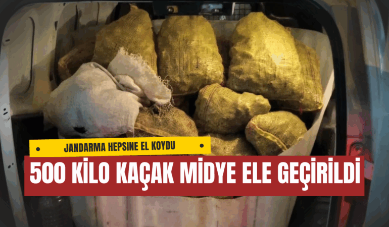Yalova Armutlu’da 500 Kilo Kaçak Midye Ele Geçirildi