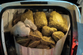 Yalova’da Jandarmadan Kaçak Midye Operasyonu