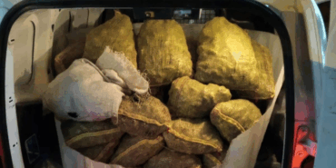 Yalova’da Jandarmadan Kaçak Midye Operasyonu