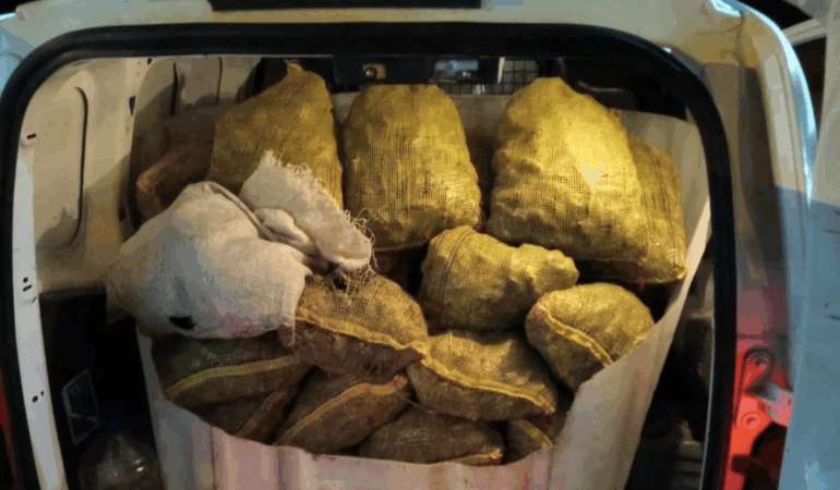 Yalova’da Jandarmadan Kaçak Midye Operasyonu