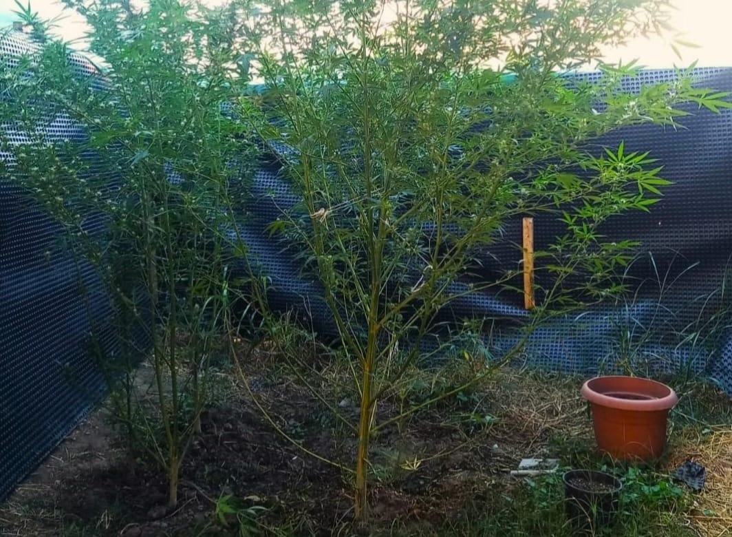 Yalova’da Uyuşturucuya Geçit Yok: 1 Kilo Metamfetamin Ele Geçirildi, 7 Kişi Tutuklandı