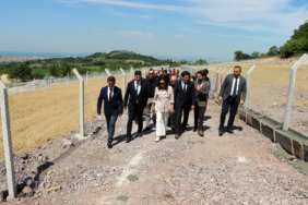 4 Ekim’de Yalova’da Sokak Hayvanları İçin Anlamlı Açılış