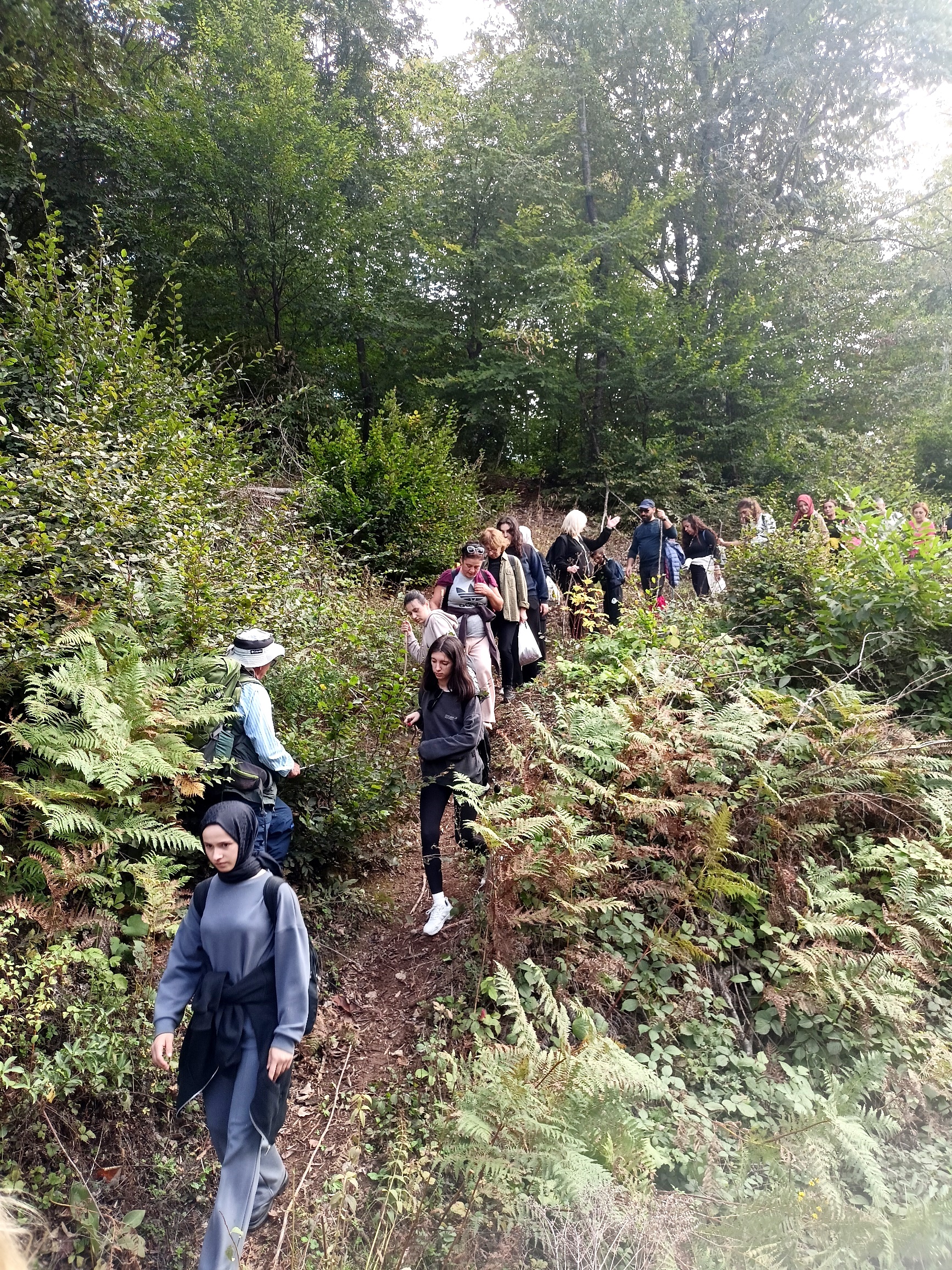 YALOVA TEMA “DÜNYA YÜRÜYÜŞ GÜNÜ”NDE DOĞAYA ÇIKTI