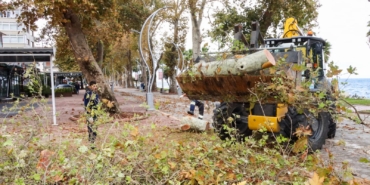 TARİHİ ANIT AĞAÇLARIN BAKIM VE BUDAMA ÇALIŞMALARI DEVAM EDİYOR