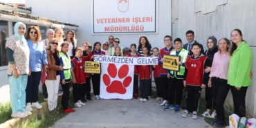 Öğrenciler “Görmezden Gelme” Projesiyle Sokak Hayvanlarına Umut Oldu