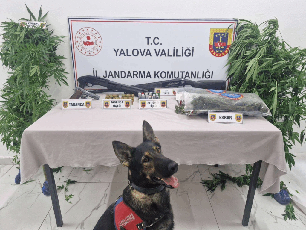 Yalova’da Jandarmadan Uyuşturucu Operasyonu: 2 Şüpheliye Adli Kontrol