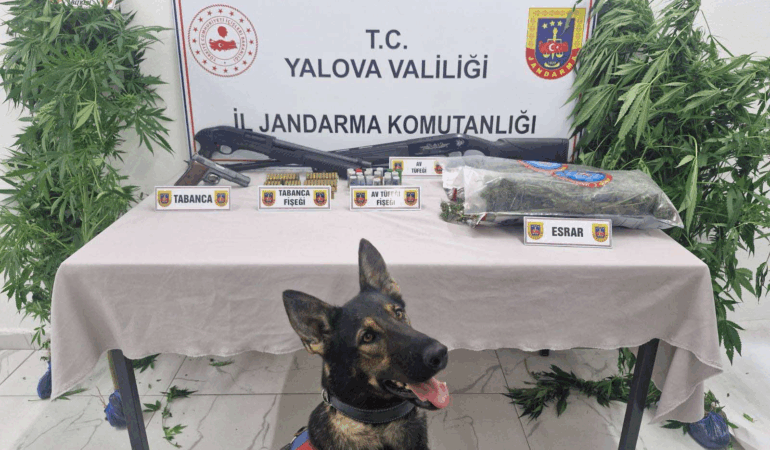 Yalova’da Jandarmadan Uyuşturucu Operasyonu: 2 Şüpheliye Adli Kontrol