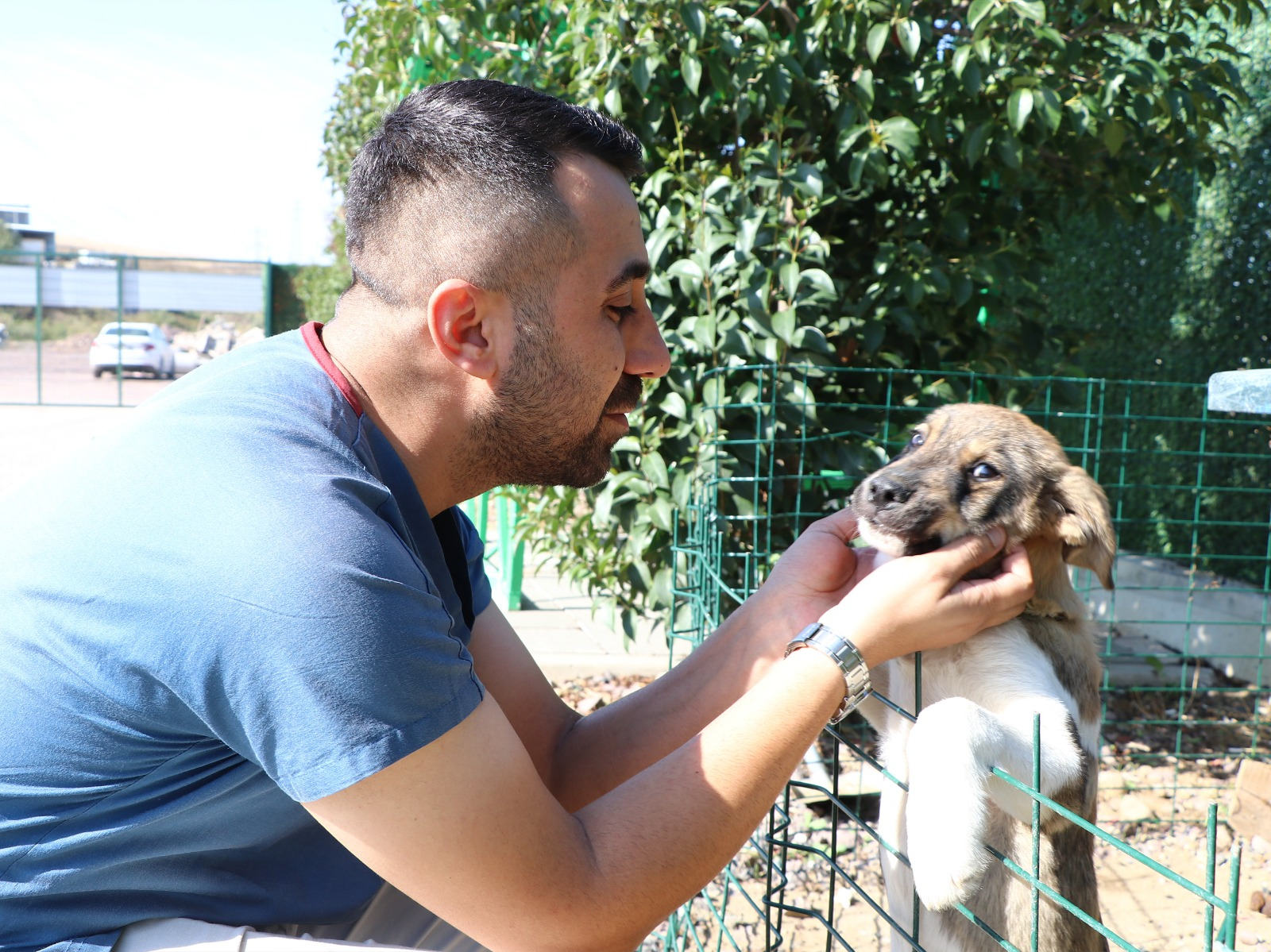 ÇİFTLİKKÖY’DE PATİLİ DOSTLARA REKOR HİZMET