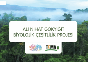 TEMA MERKEZ İLÇEDEN TOBB MESLEKİ VE TEKNİK ANADOLU LİSESİNDE TANITIM ETKİNLİĞİ