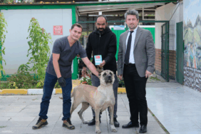 ÇİFTLİKKÖY VETERİNERLERİ ŞİLA’YI HAYATA BAĞLADI