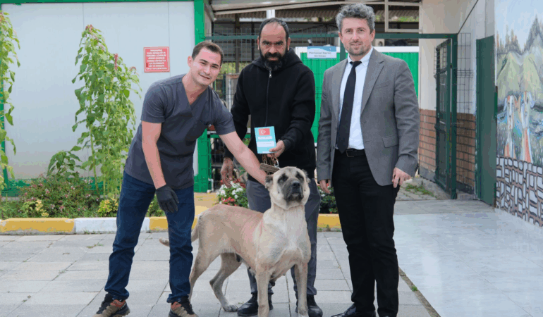 ÇİFTLİKKÖY VETERİNERLERİ ŞİLA’YI HAYATA BAĞLADI