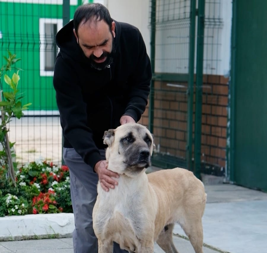 ÇİFTLİKKÖY VETERİNERLERİ ŞİLA’YI HAYATA BAĞLADI