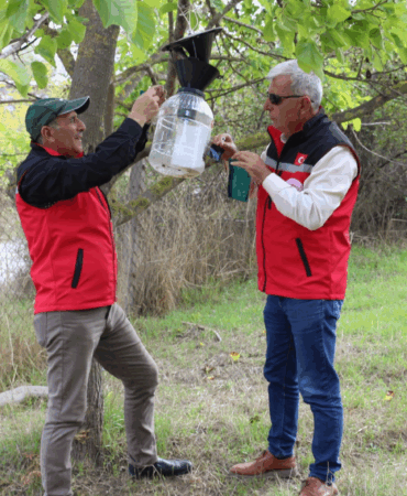 YALOVA’DA KAHVERENGİ KOKARCAYLA MÜCADELE SÜRÜYOR