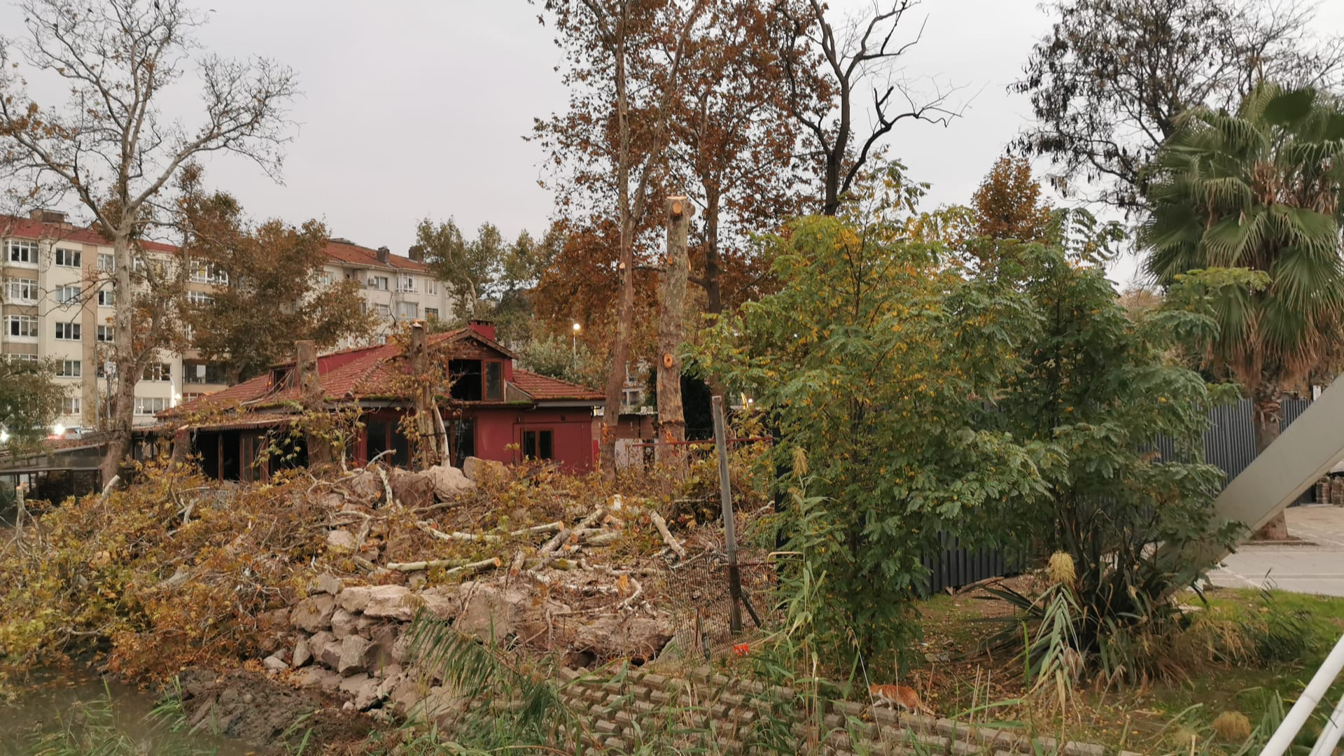 YALOVA BELEDİYESİ'NDEN BASIN AÇIKLAMASI