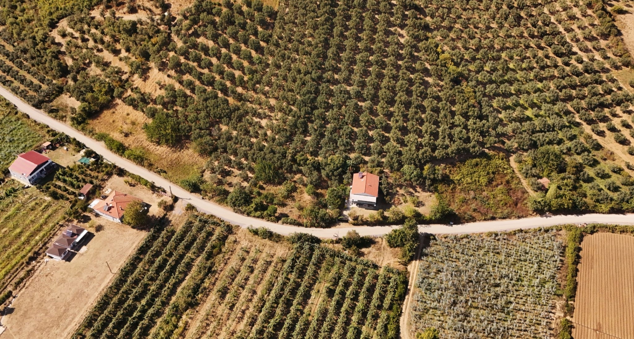 Köylerimizin Ulaşımı İçin 44 Kilometrelik Sathi Kaplama Yol Tamamlandı.