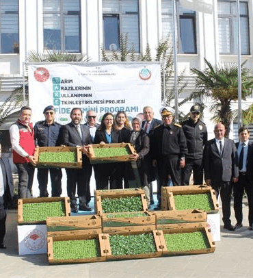 ÇİFTÇİLERE 428 BİN ADET KIVIRCIK VE PAZI FİDESİ DAĞITILDI