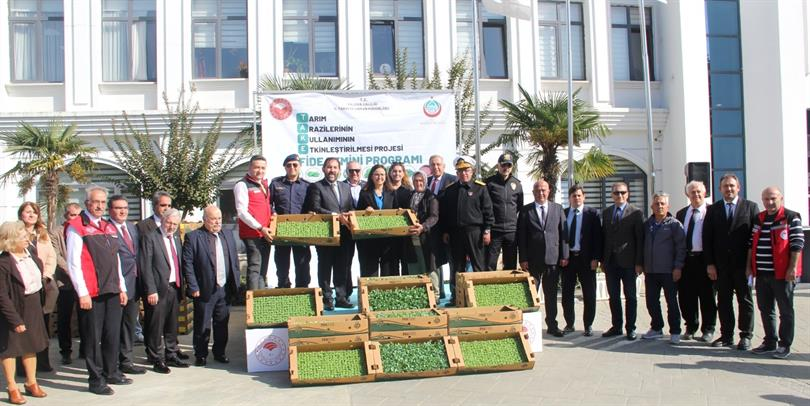 ÇİFTÇİLERE 428 BİN ADET KIVIRCIK VE PAZI FİDESİ DAĞITILDI
