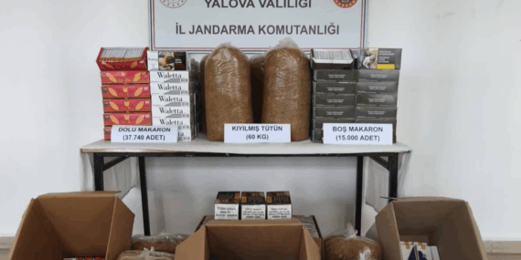 Armutlu’da Kaçak Tütün Operasyonu: 60 Kilo Tütün ve 37 Bin Makaron Ele Geçirildi 17 Armutlu’da Kaçak Tütün Operasyonu: 60 Kilo Tütün ve 37 Bin Makaron Ele Geçirildi