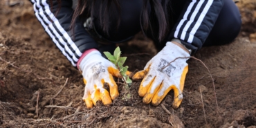 Uludağ Elektrik’ten Doğa Dostu Dijital Hamle: Elektronik Fatura ile Karbon Ayak İzinde Büyük Azalma