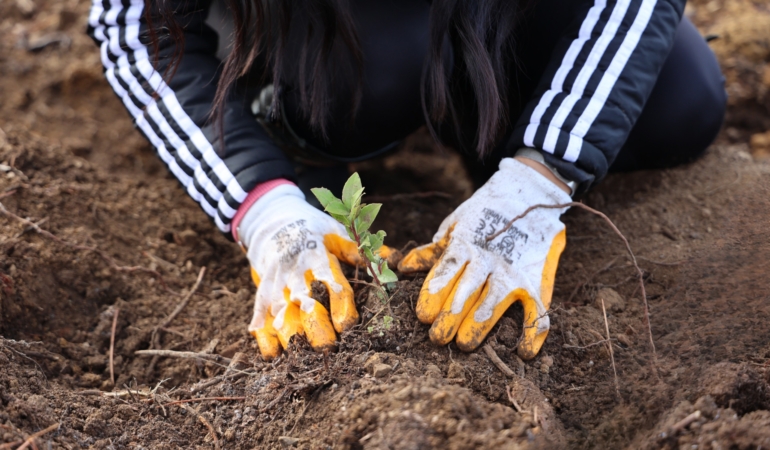 Uludağ Elektrik’ten Doğa Dostu Dijital Hamle: Elektronik Fatura ile Karbon Ayak İzinde Büyük Azalma