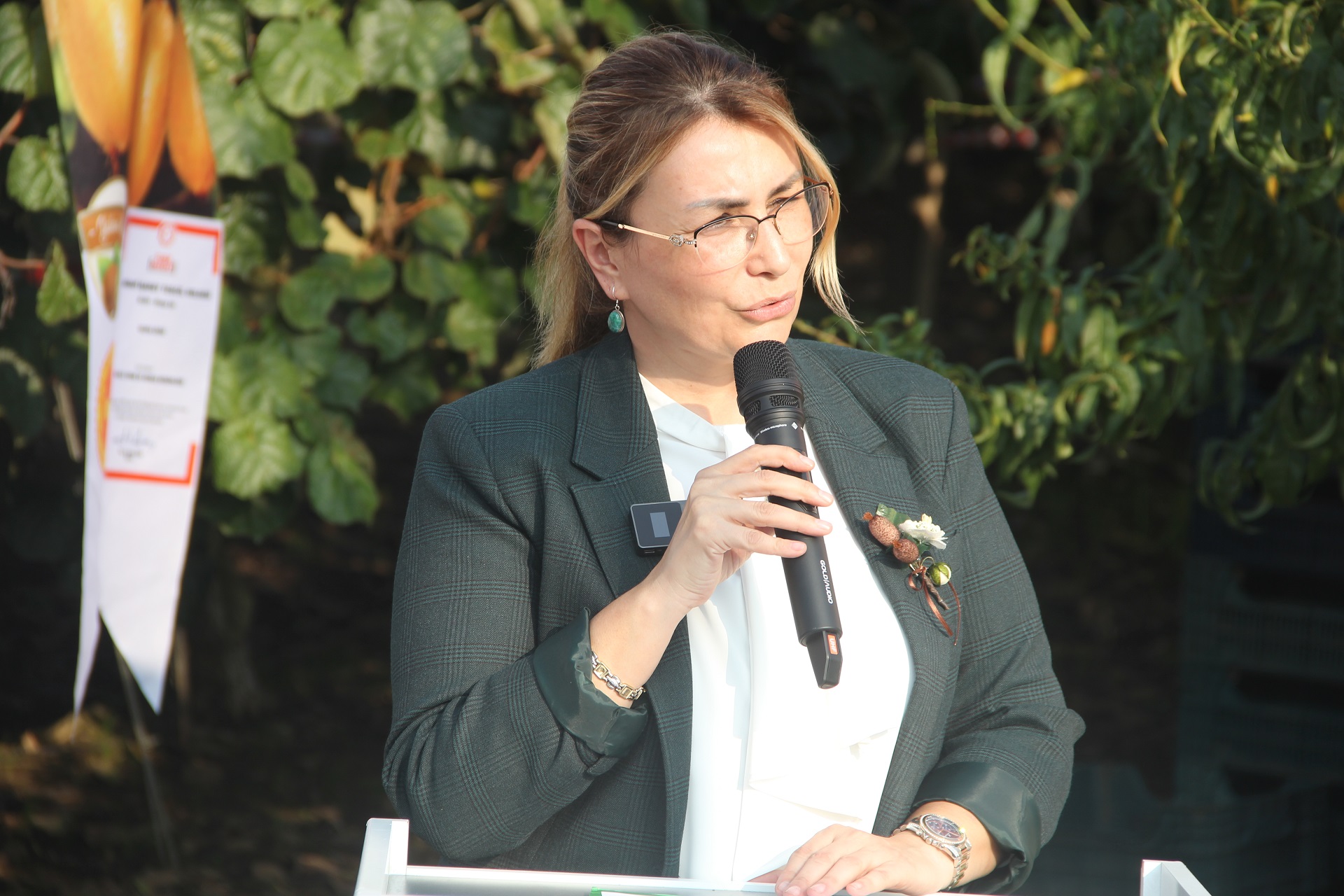 Yalova’da Coğrafi İşaretli Kivi Hasadı Coşkuyla Başladı