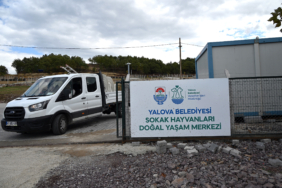 SOKAK HAYVANLARI DOĞAL YAŞAM MERKEZİ ZİYARETE AÇILIYOR