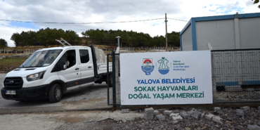 SOKAK HAYVANLARI DOĞAL YAŞAM MERKEZİ ZİYARETE AÇILIYOR