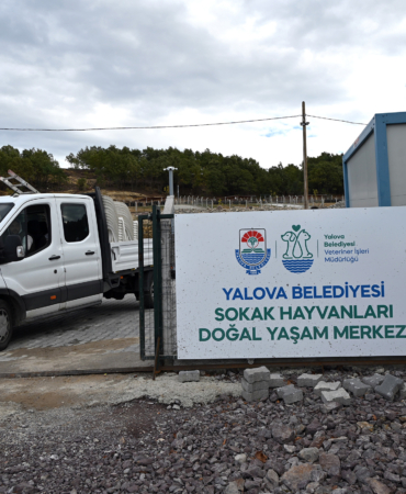 SOKAK HAYVANLARI DOĞAL YAŞAM MERKEZİ ZİYARETE AÇILIYOR