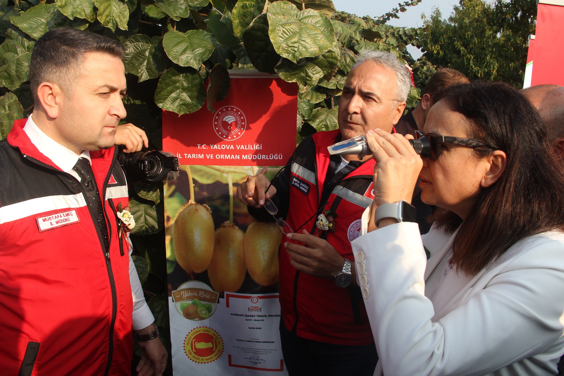 Yalova’da Coğrafi İşaretli Kivi Hasadı Coşkuyla Başladı