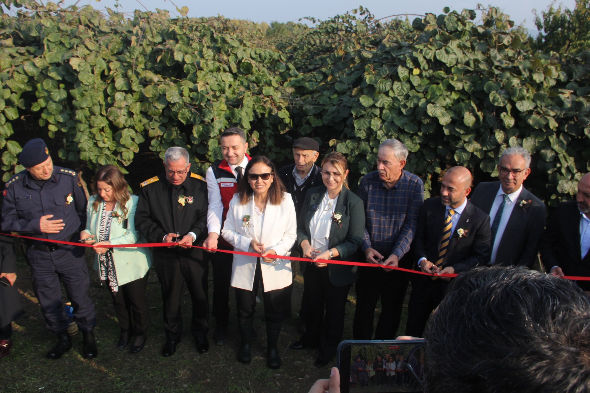 Yalova’da Coğrafi İşaretli Kivi Hasadı Coşkuyla Başladı