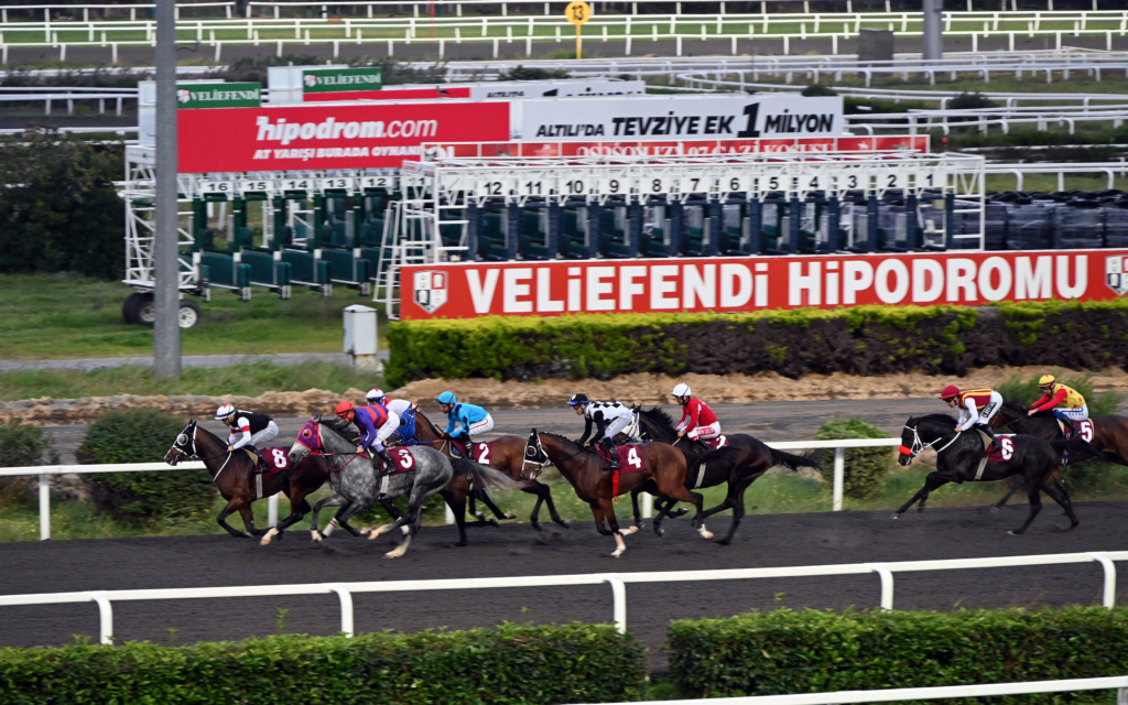 Yürüyen Köşk Koşusu 9 Kasım’da Veliefendi Hipodromu’nda Gerçekleştirilecek