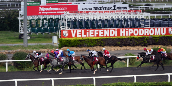 Yürüyen Köşk Koşusu 9 Kasım’da Veliefendi Hipodromu’nda Gerçekleştirilecek
