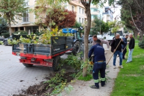 ADNAN MENDERES MAHALLESİ’NDE ÇEVRE DÜZENLEME ÇALIŞMASI